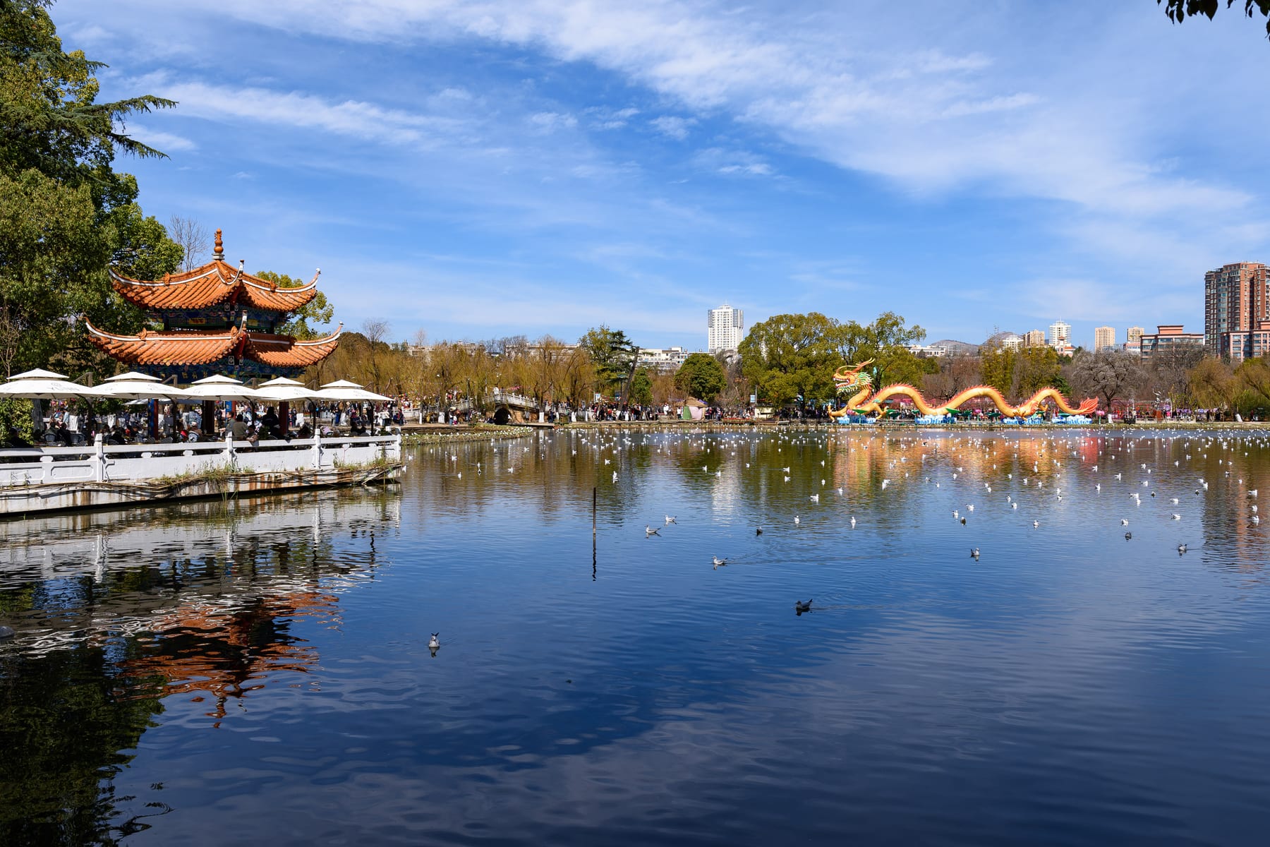 Green Lake in winter — gulls on the water and a lakeside pavilion in Cuihu Park, Kunming