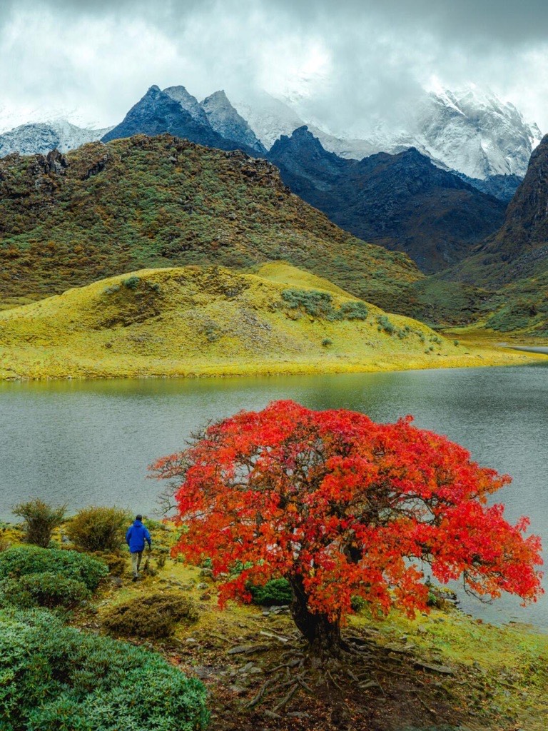 In Shangri-La Haba Black Sea, a person in a blue jacket stands by a vibrant red tree near a lake. Snow-capped mountains loom in the misty background, creating a serene mood.