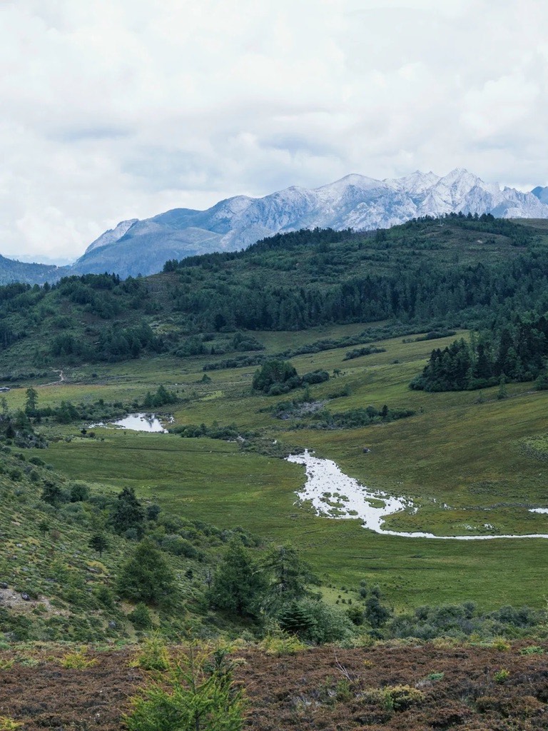 Shangri-La, Niru trekking - Mountainous landscape with lush green hills, a winding river, and distant snow-capped peaks under a cloudy sky, evoking tranquility.