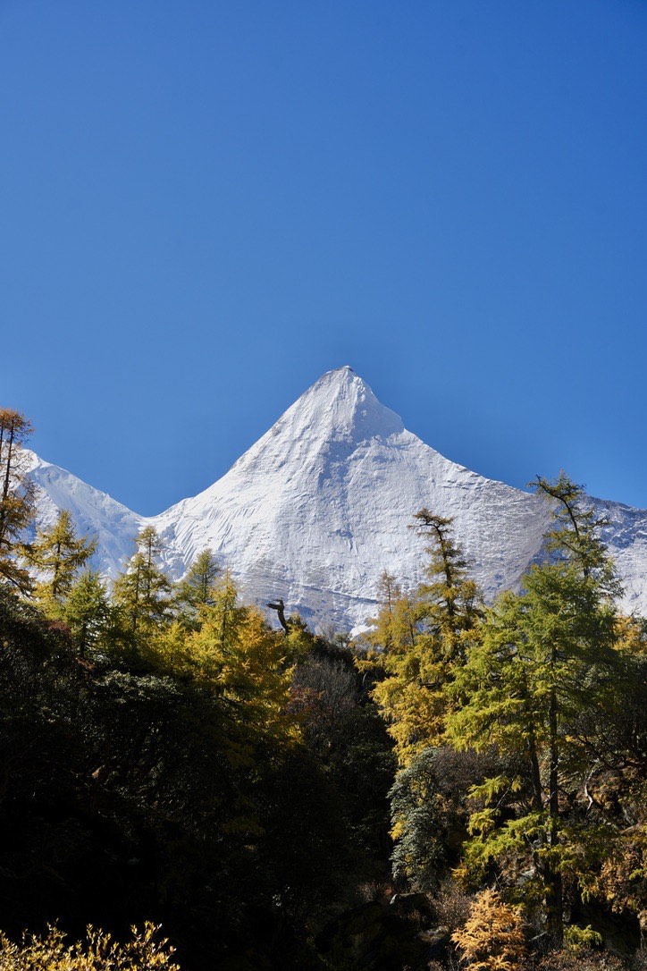 Glacial meltwater tears through the valley floor at Yading Nature Reserve. The three sacred peaks ar