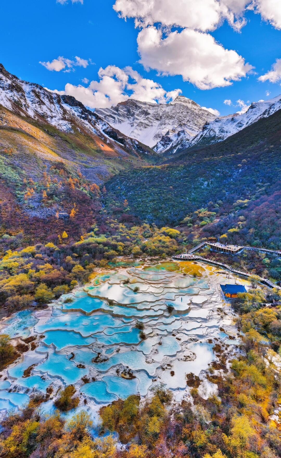 A wide landscape view of Huanglong's travertine pools cascading down a mountain valley, surrounded b