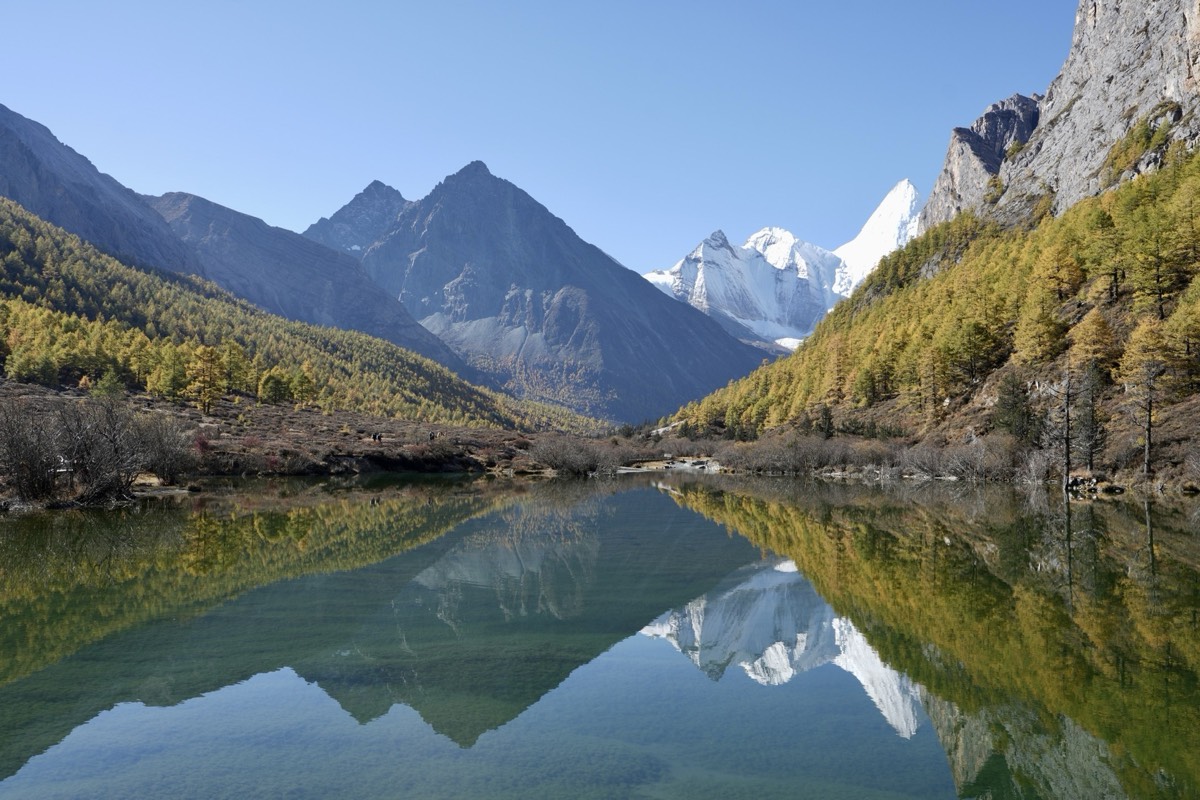 From above, Yading reveals a valley so pristine it looks rendered. Dense primeval forest, a braided 