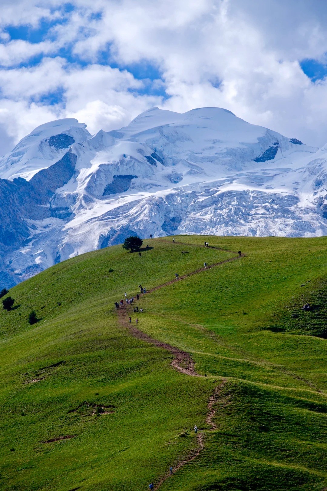 Hikers ascending a winding dirt path on a vibrant green ridge, leading toward the massive, snow-cove