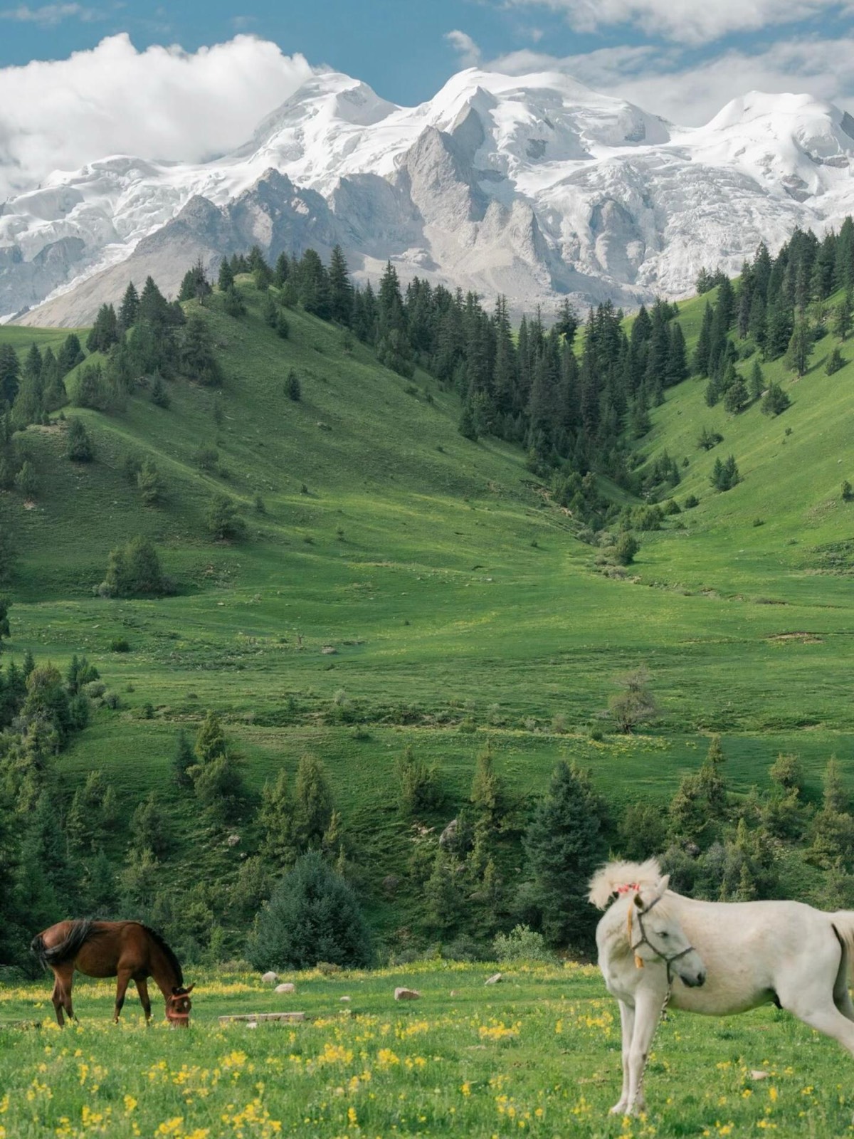 A peaceful scene of horses grazing in the lush, rolling green hills of Gani-Nie (GeNie), with dense 