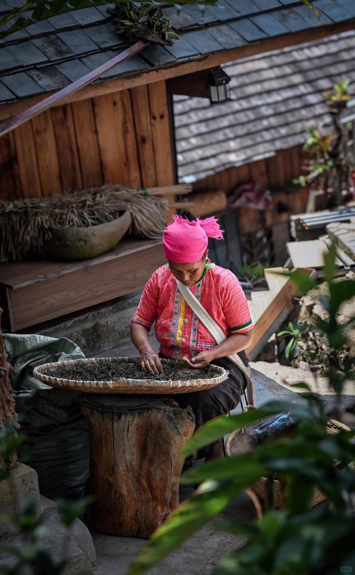 Woman sorting fresh Pu'er tea leaves on a bamboo tray in a Yunnan tea village