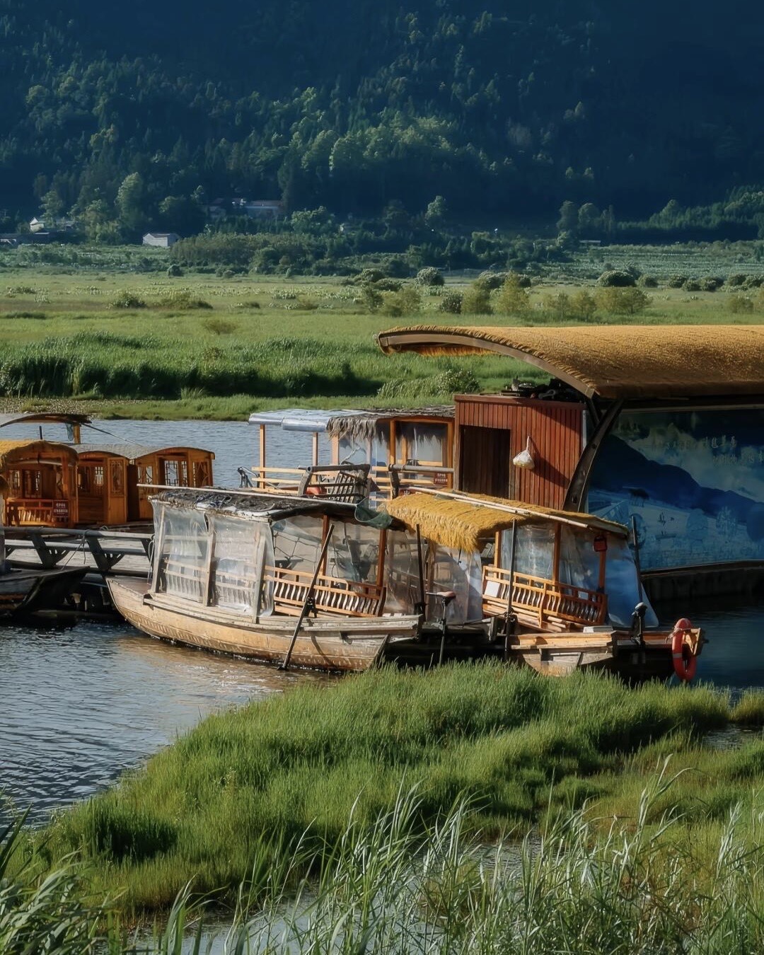 Wooden canopied tour boats moored on a reed-fringed lake below forested hills in West Yunnan