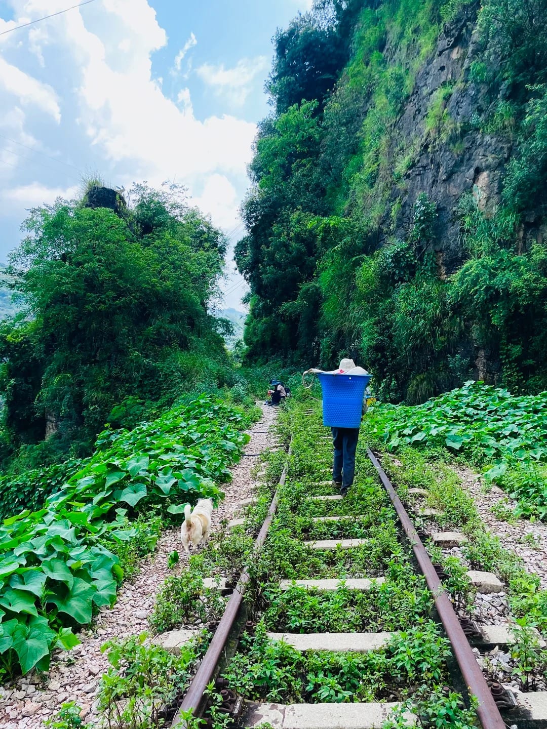 The Yunnan–Vietnam Railway: History & Where to Walk It