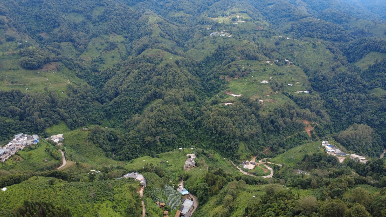 Aerial view over the layered green tea-mountain ridges and scattered village houses of Bingdao in the Mengku valley, Lincang