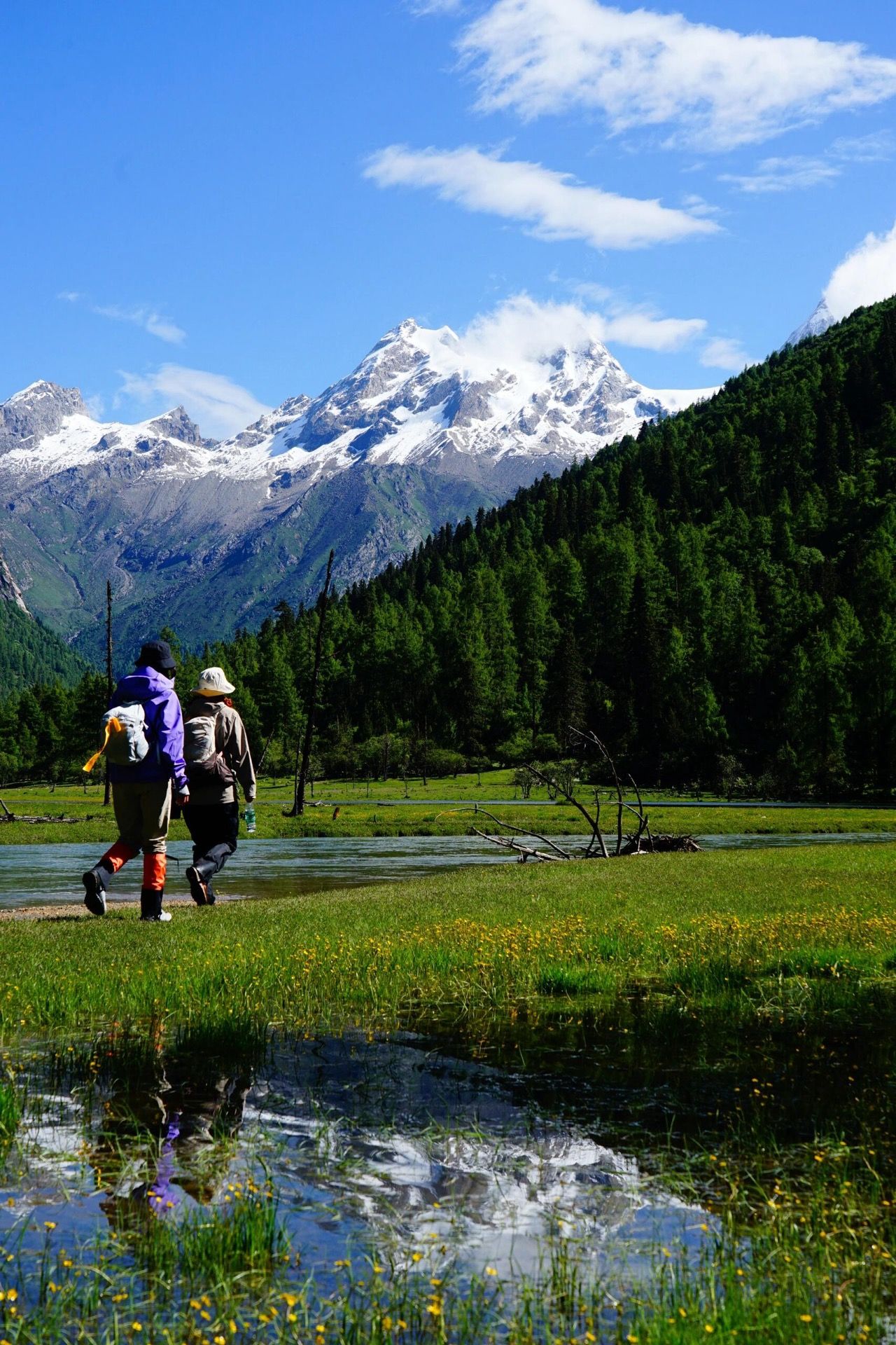Trekkers stride across a wildflower meadow toward the Four Sisters, peaks mirrored in a still pond