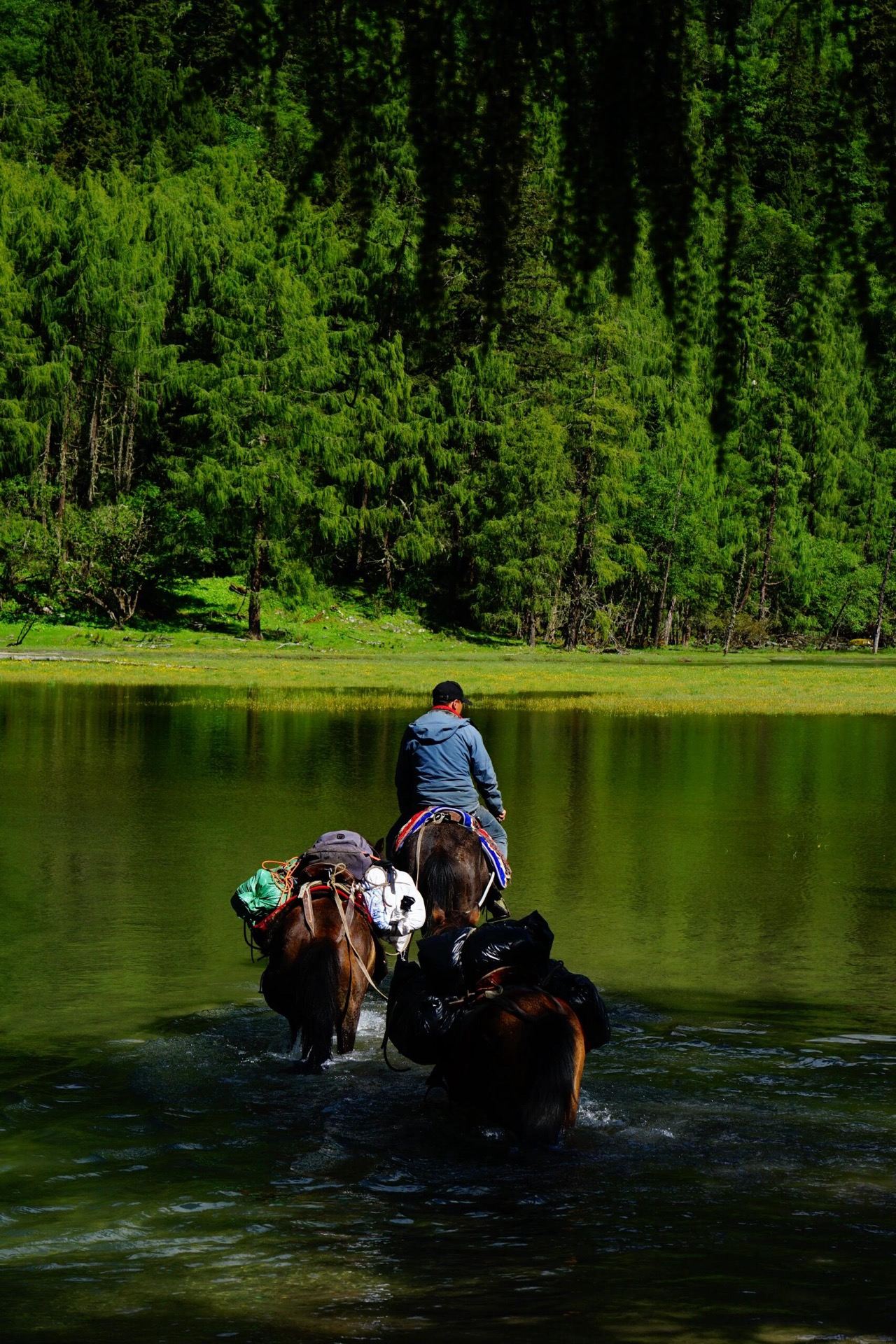 A local wrangler leads a pack horse across a glacial river on the Changping–Bipeng trek