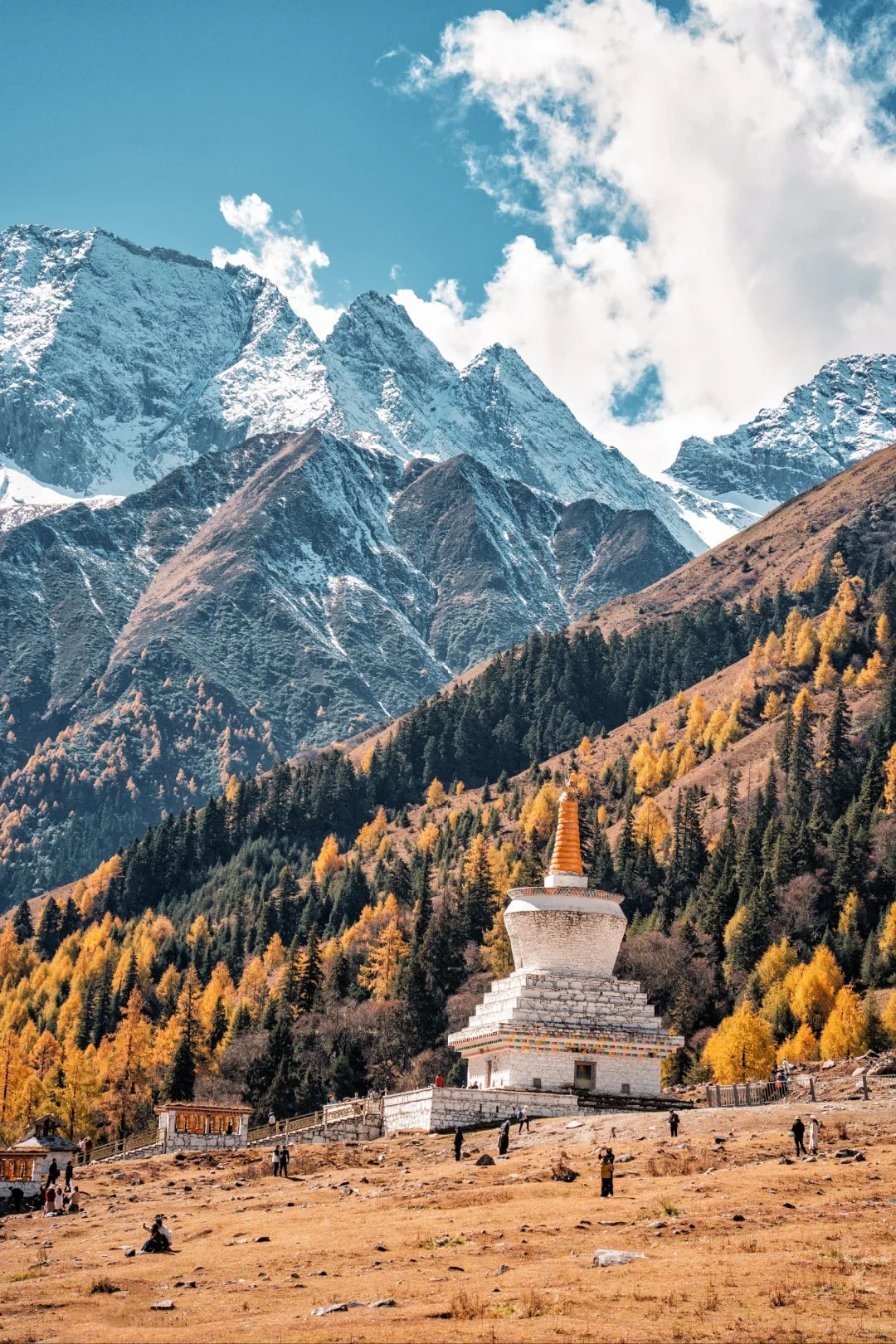 Tibetan stupa framed by golden larch in Siguniang's Shuangqiao Valley