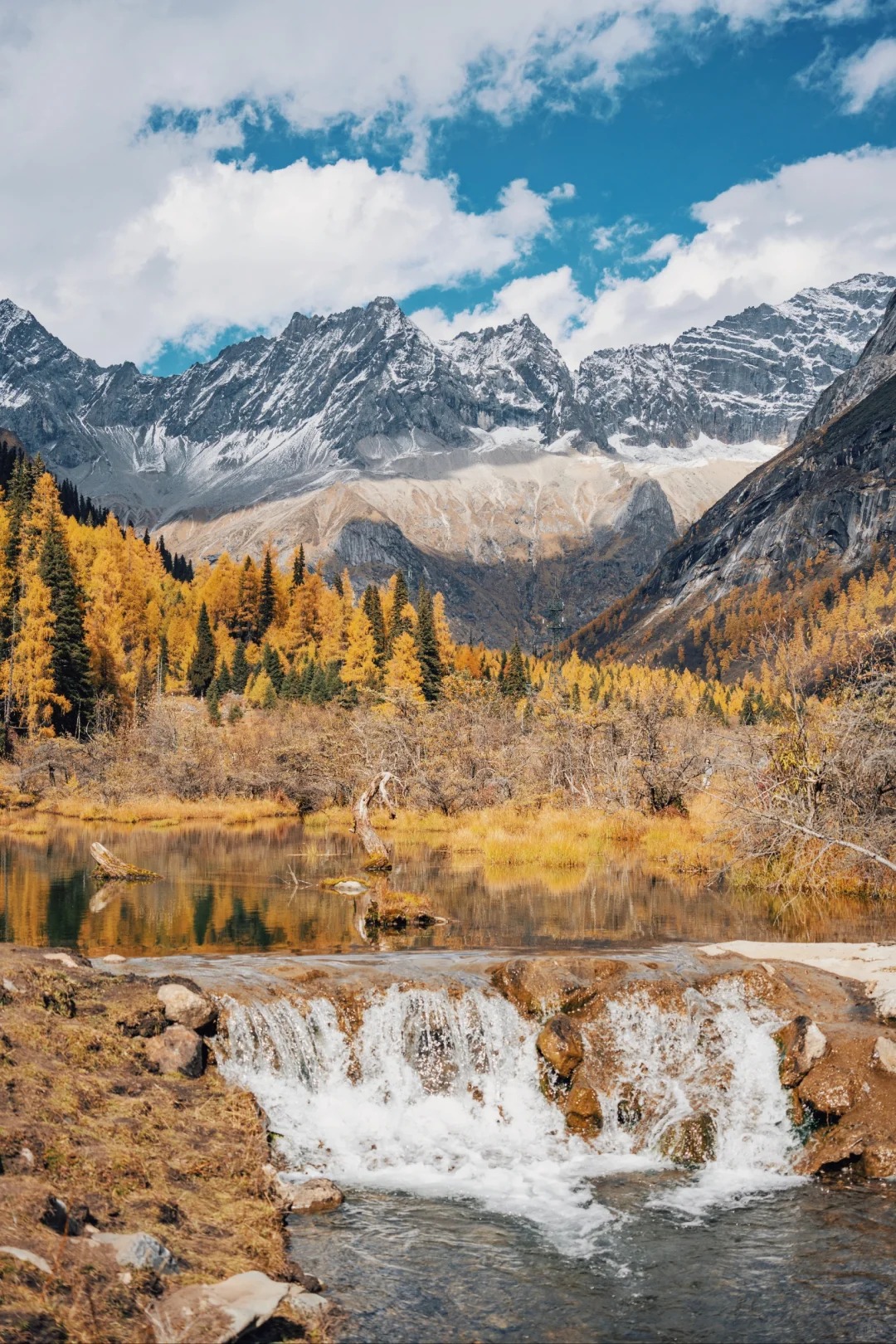 Prayer flags catching wind above an autumn meadow at Siguniang, West Sichuan