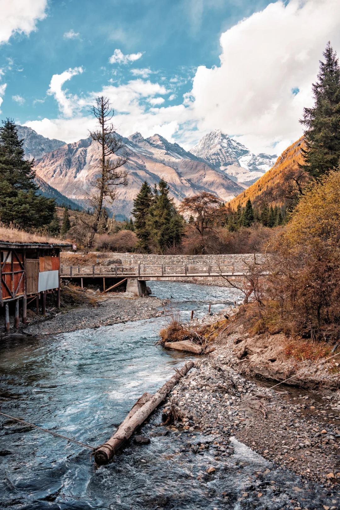 Snow-dusted Four Sisters peaks rising above autumn larch at Siguniang Mountain