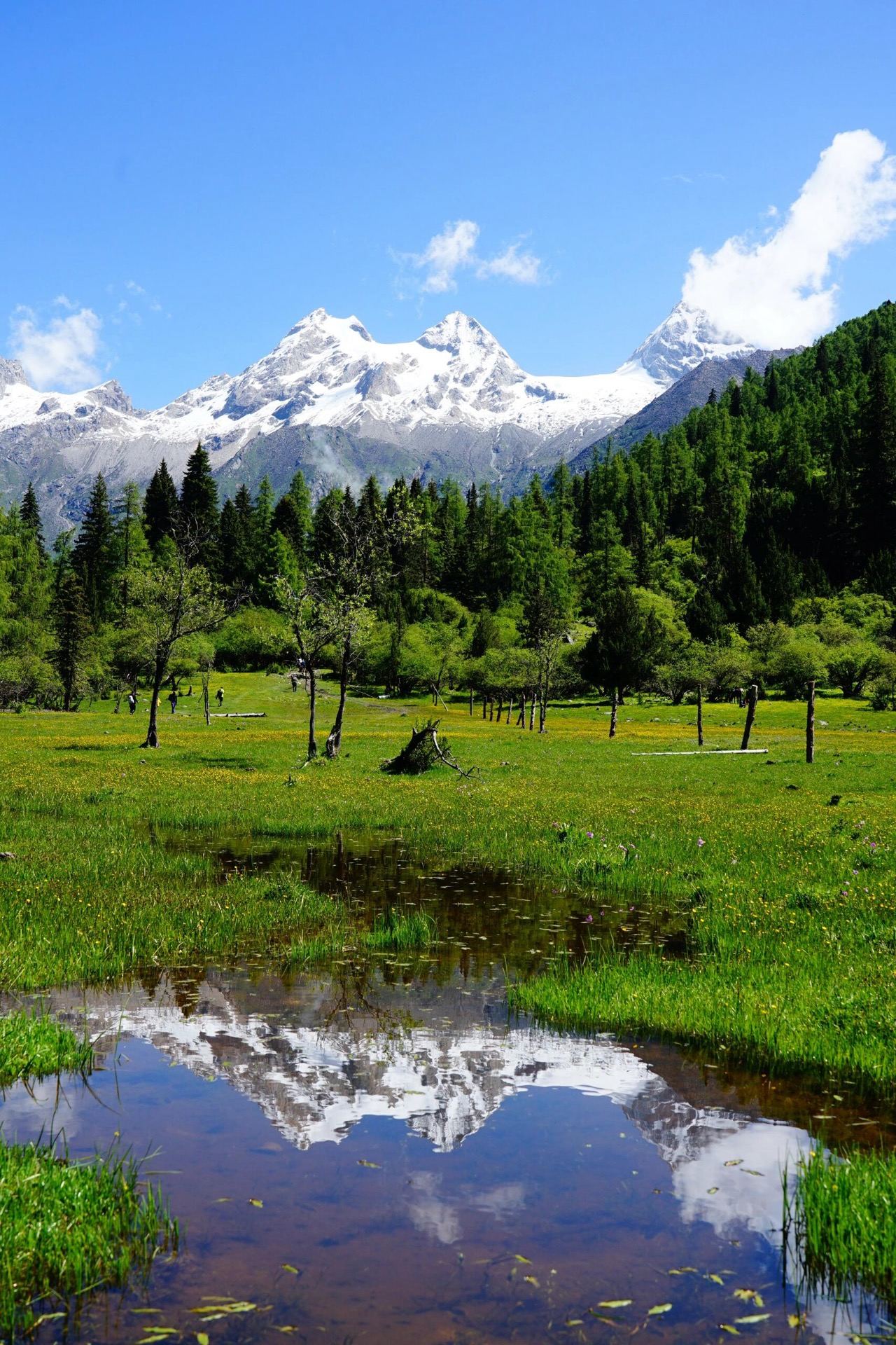 Three sharp snow summits caught in the glass of a meadow pool — cover-shot material from the Changping–Bipeng trek