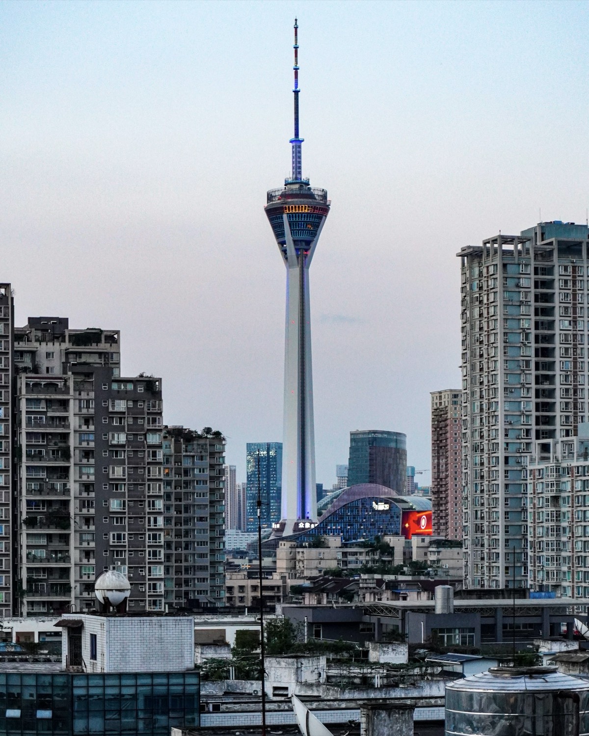 Pandas & Teahouse Culture — Chengdu (5)