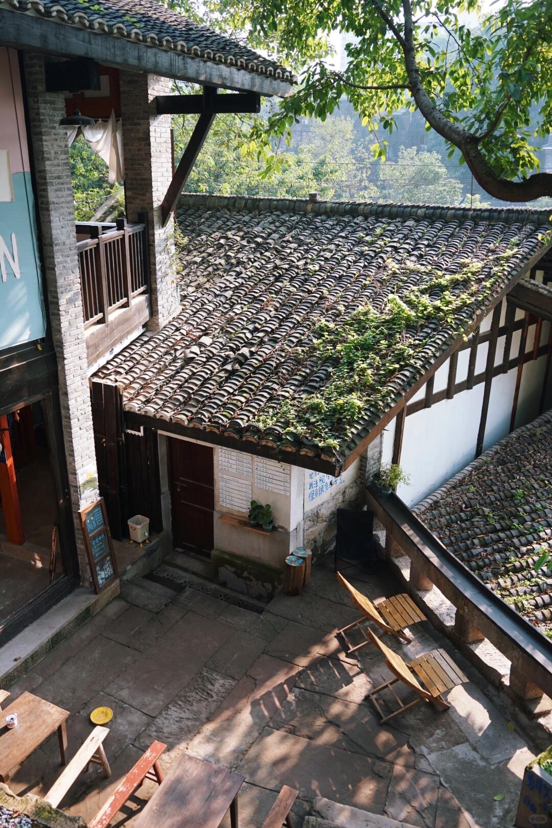 Cultural Roots & Urban Pulse — Chongqing (8)