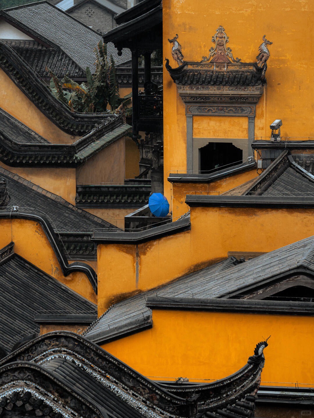 Cultural Roots & Urban Pulse — Chongqing (3)