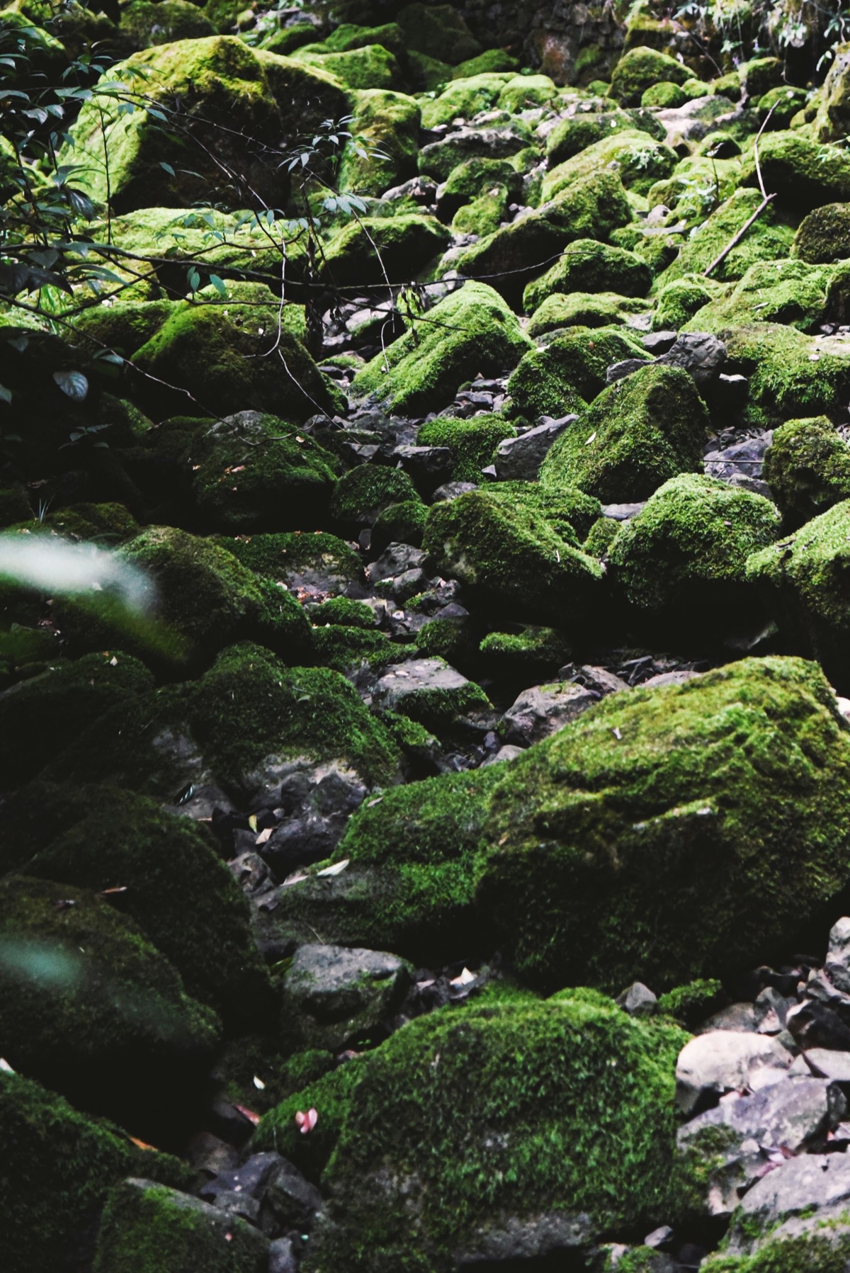UNESCO Wulong Karst & Natural Bridges — Chongqing (1)
