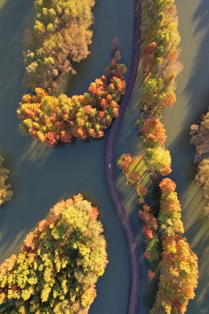 Autumn color — Dali (6)