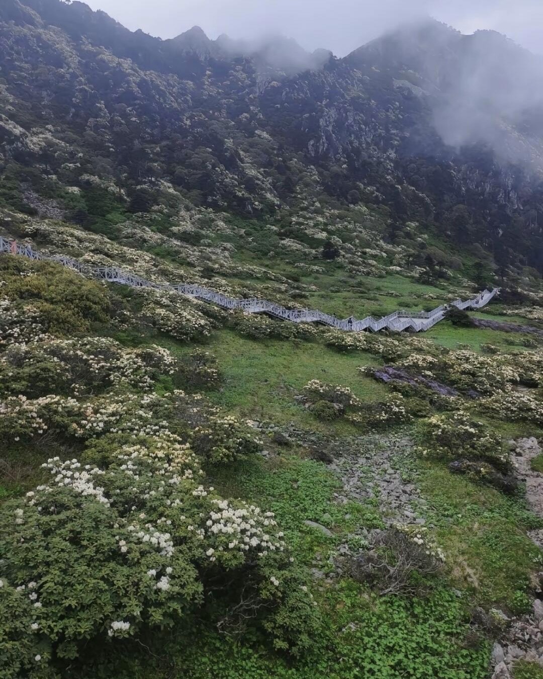 Cang Mountain — Dali (3)