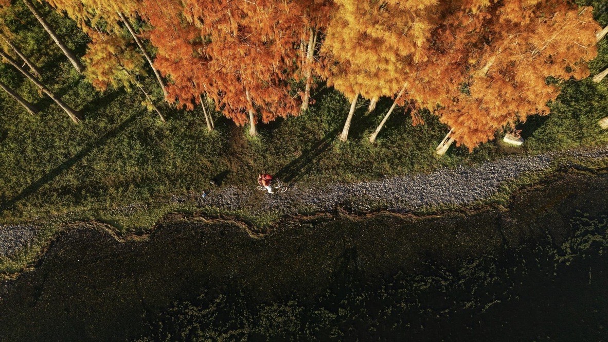 Autumn color — Dali (4)