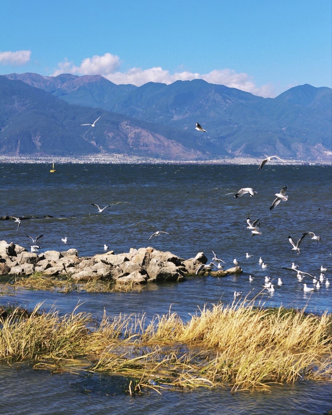 Erhai Lake & Xizhou Ancient Town — Dali (9)