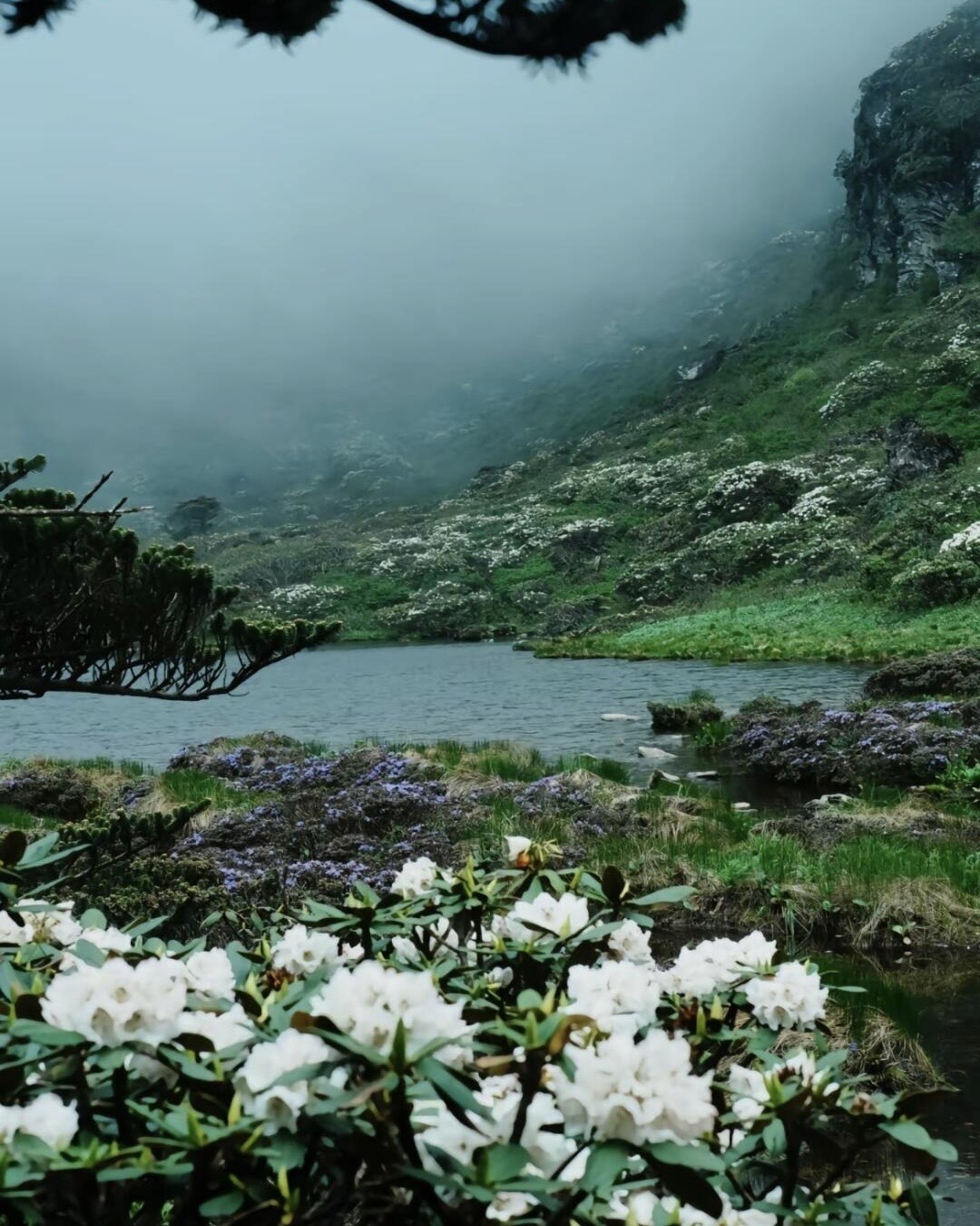 Cang Mountain — Dali (2)