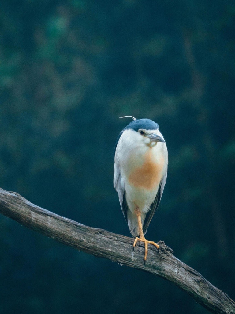 Cang Mountain — Dali (4)