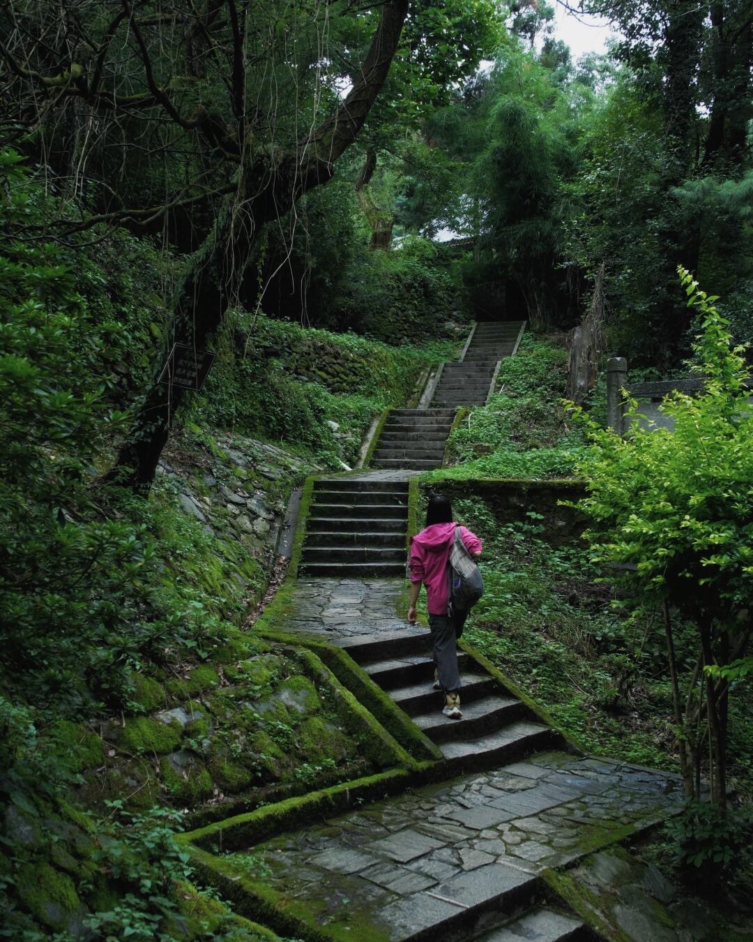 Stone-stair section on the Cangshan day hike through forest