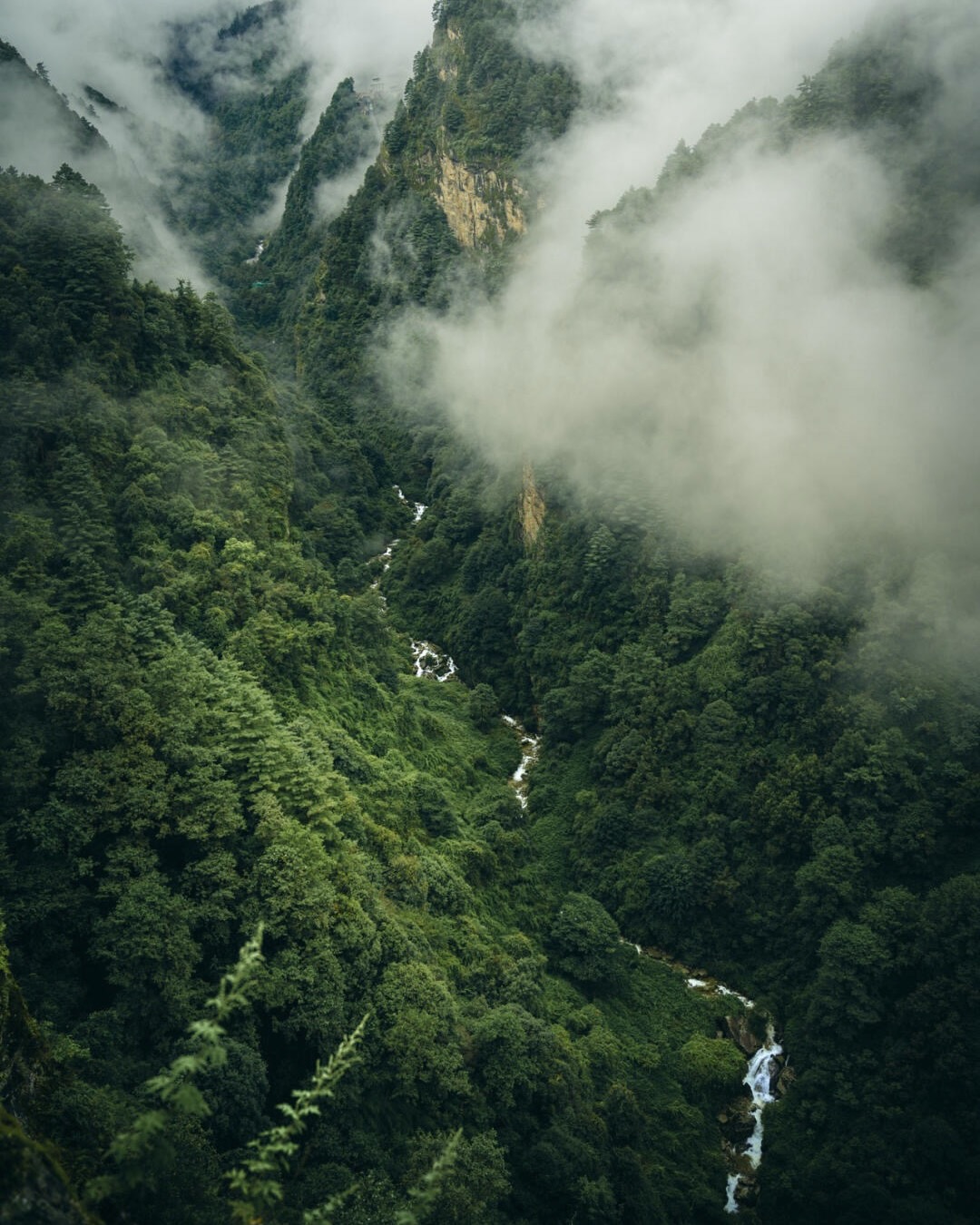 Peak view from the Cangshan ridge on the Jade Belt Cloud Path