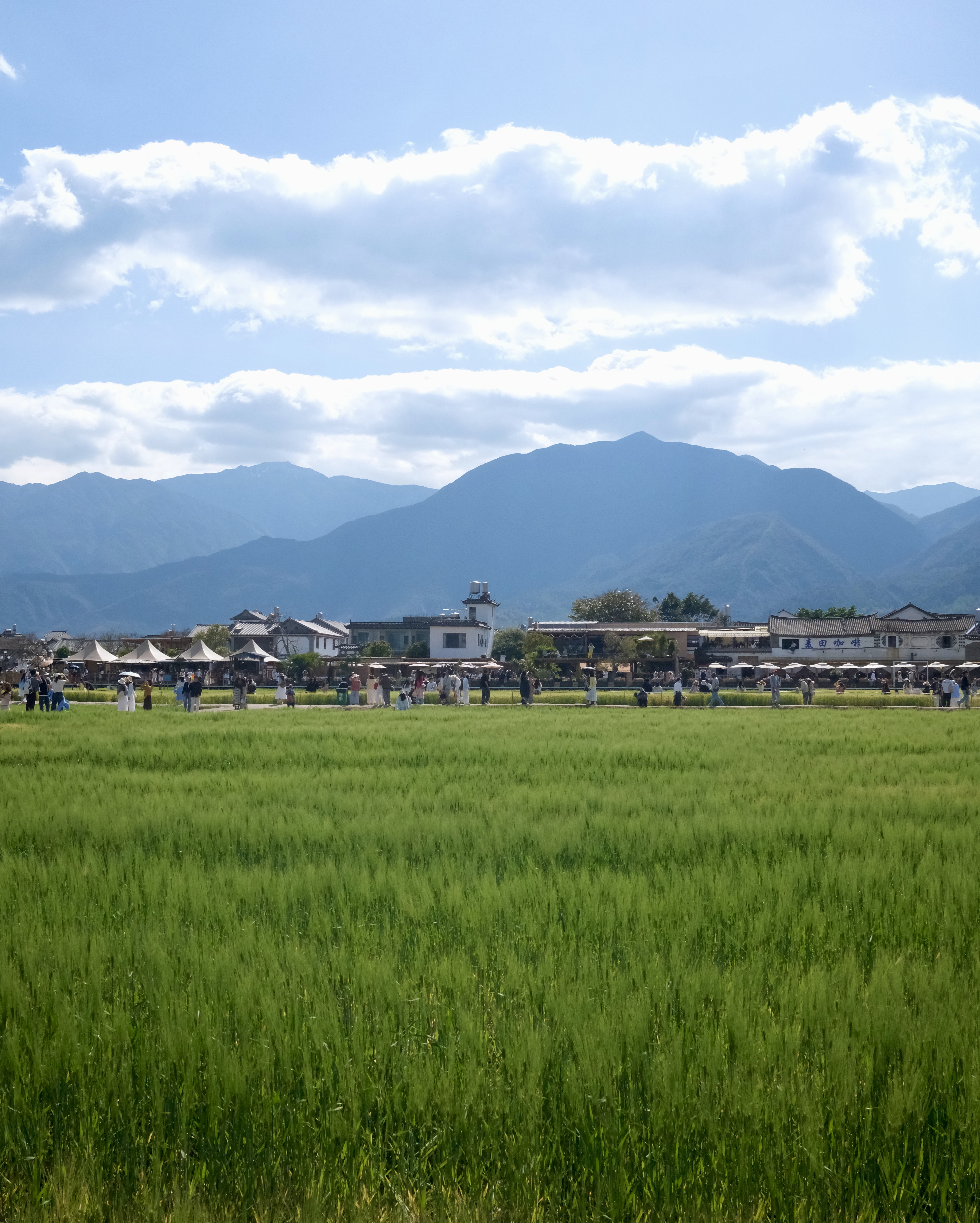 Xizhou's emerald rice-paddy landscape under the Cang Mountain ridge — the setting for the mini-train loop
