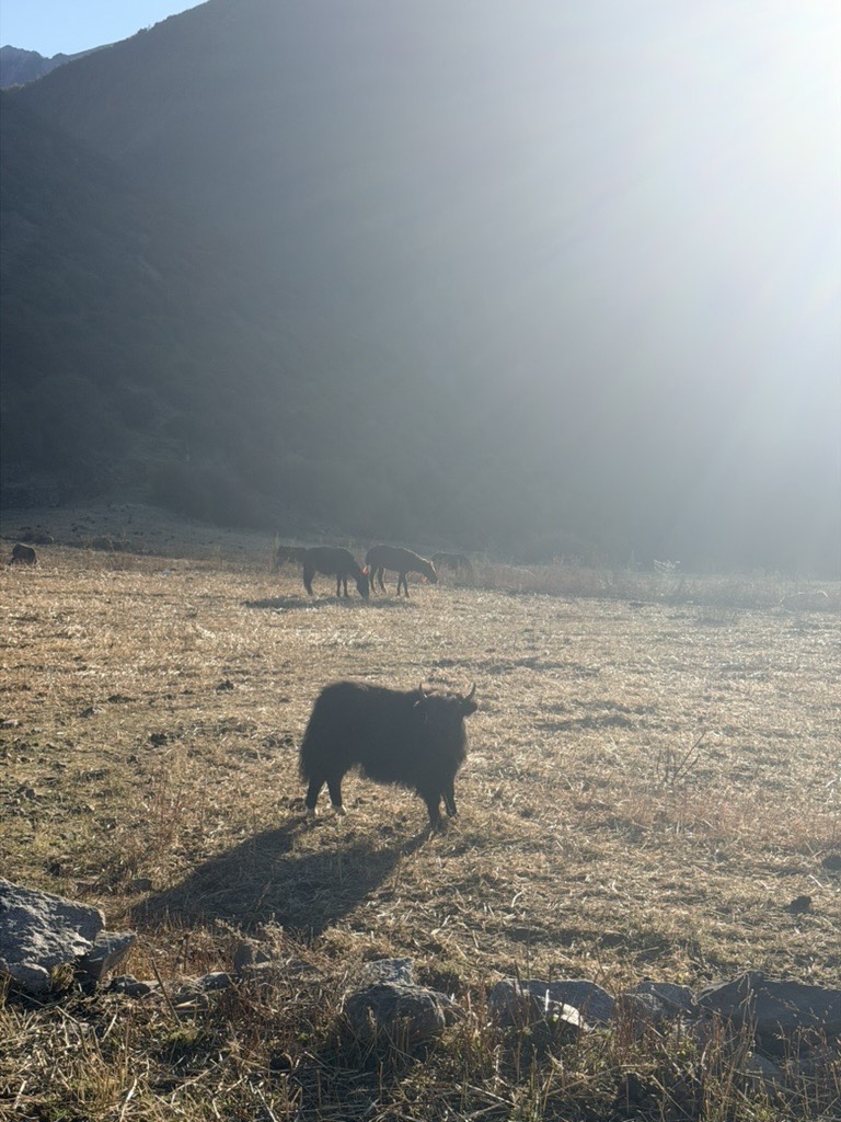 Acclimatise in Yading Village — Daocheng Yading (2)