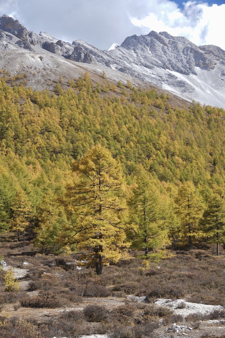 Yading Nature Reserve: Short Kora — Daocheng Yading (5)