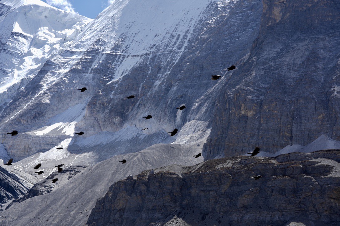 Yading Nature Reserve: Long Kora to Milk Lake — Daocheng Yading (5)