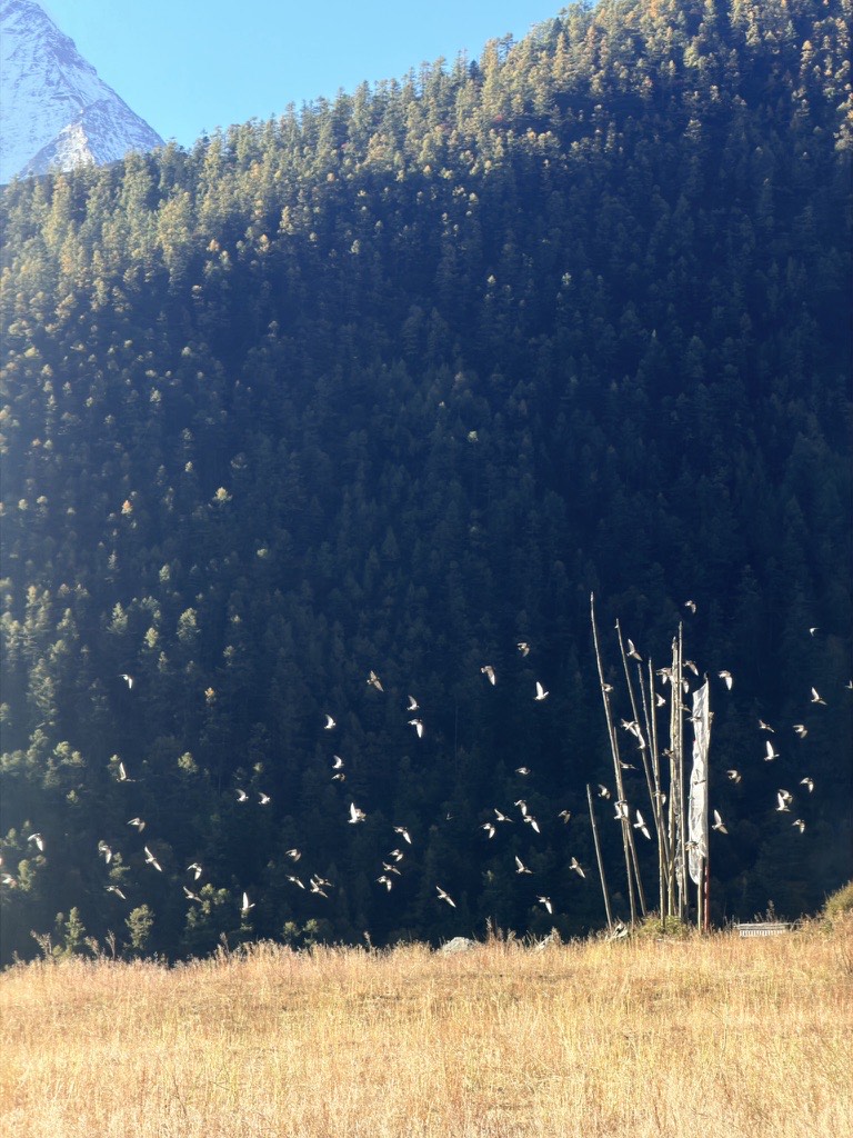 Acclimatise in Yading Village — Daocheng Yading (1)