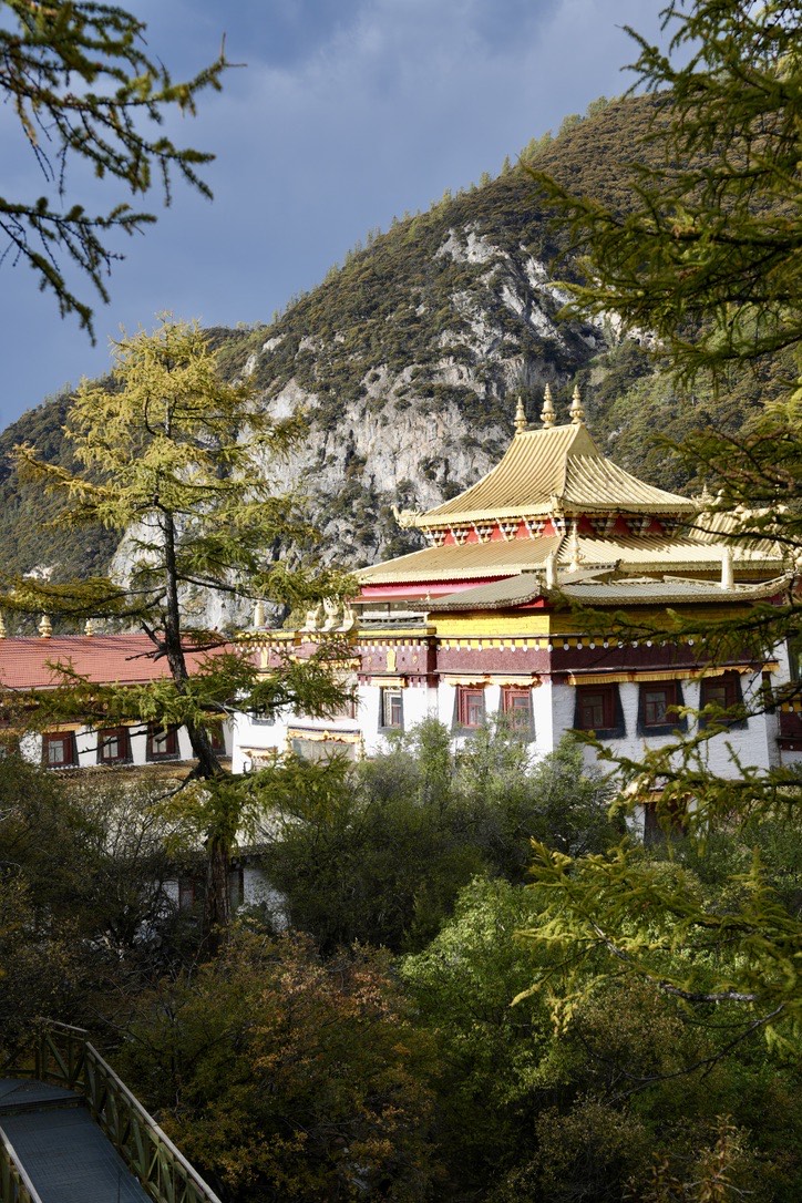 Golden-roofed Tibetan temple with white walls set below a rocky cliff and pine forest in Yading Nature Reserve.