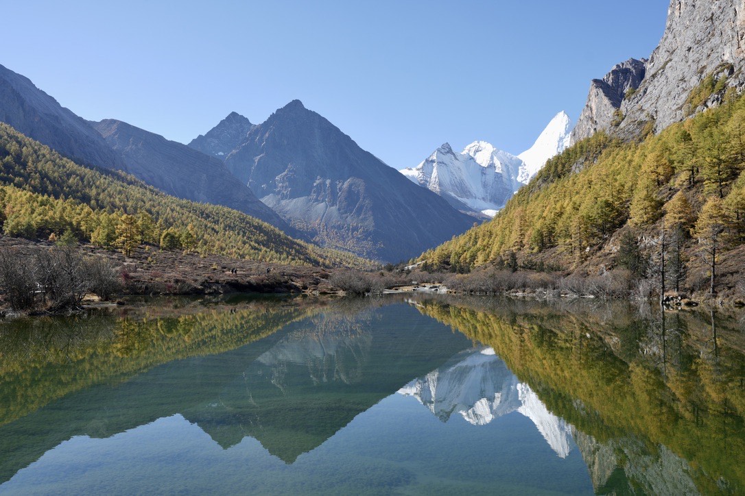Calm alpine lake on the Yading long kora mirroring jagged snow-capped peaks framed by golden autumn larch forest.