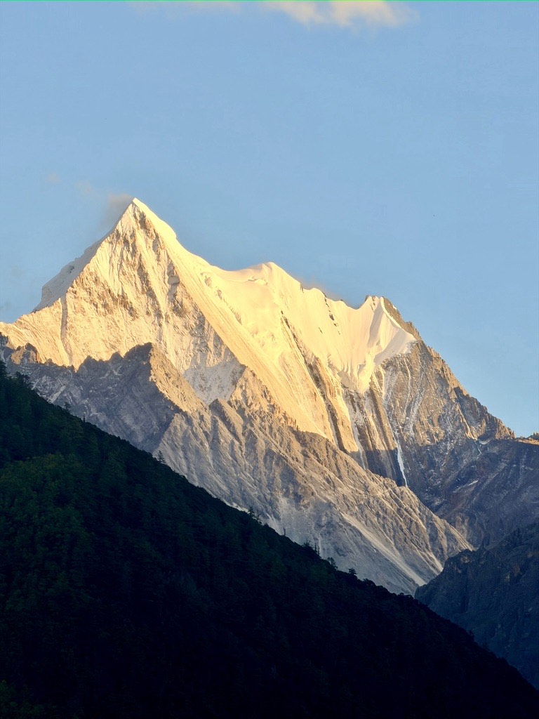 Snow-capped mountain peak glowing gold in early light above a dark forested ridge at Yading, Daocheng.