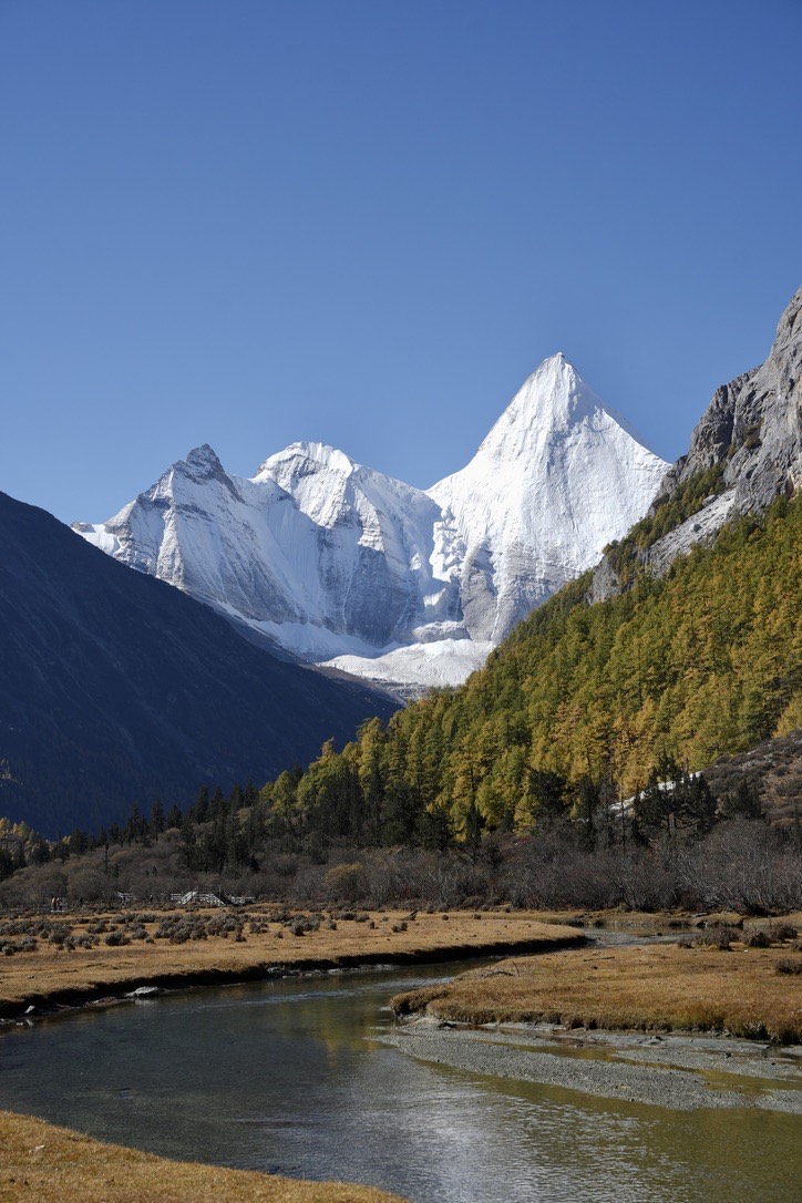 Snow-capped peaks rising above golden autumn larch forest and a winding stream on the Yading long kora.