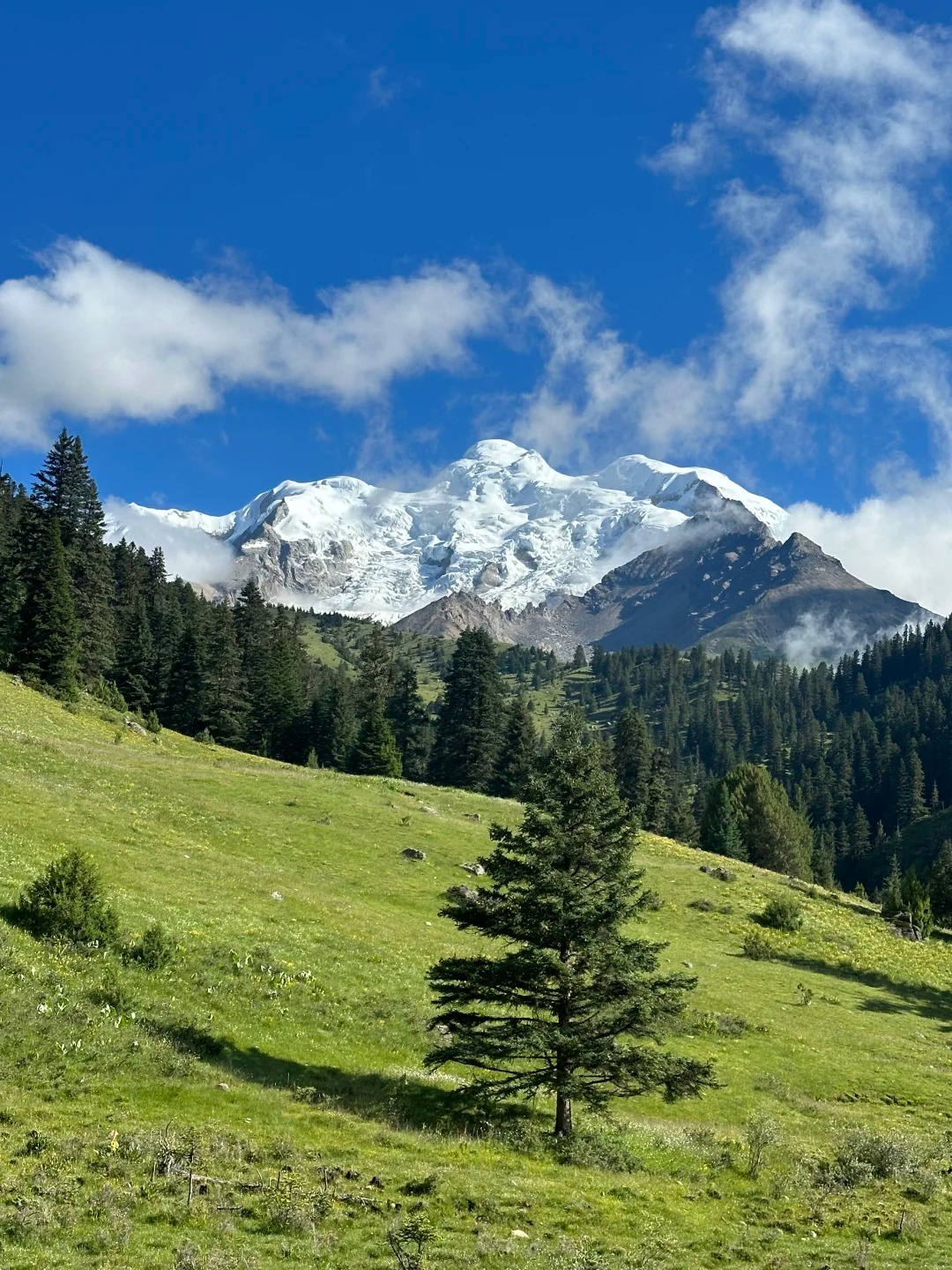 Beginner-friendly trek scenery on the Genie South Route