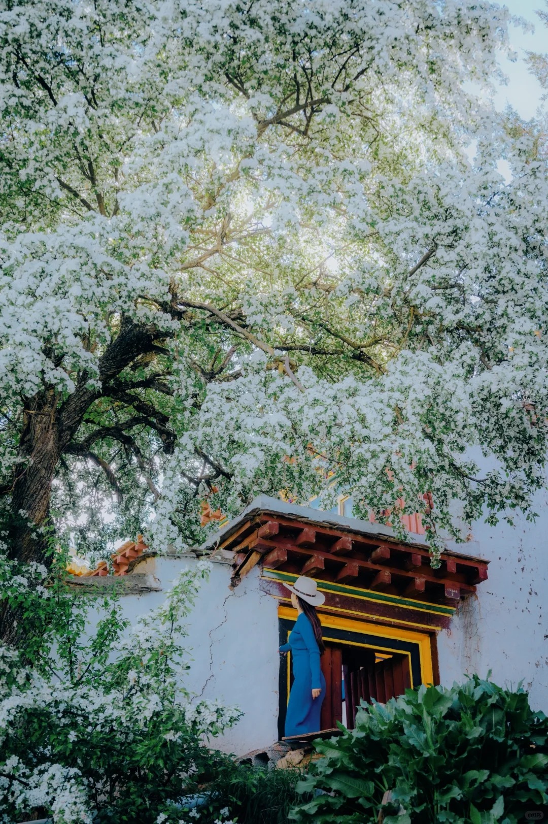 Litang driving-route itinerary — Genie South road-trip corridor, West Sichuan