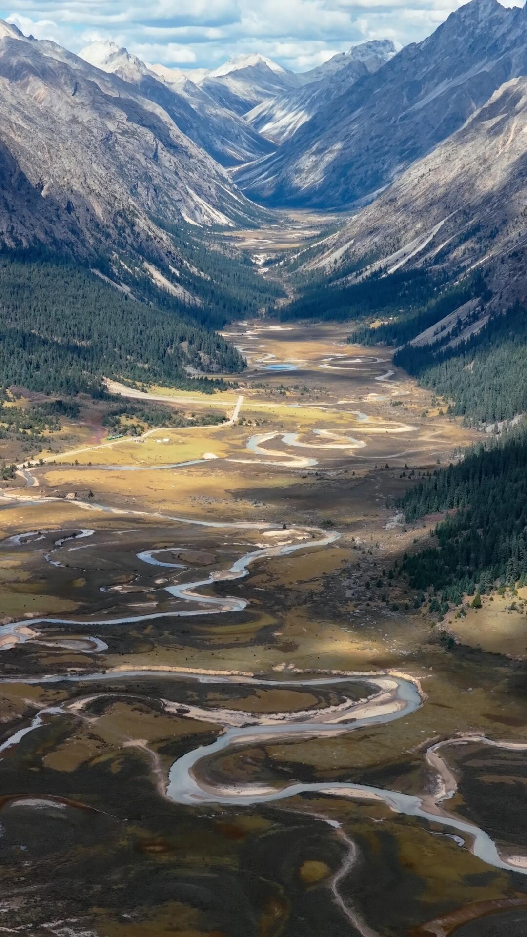 Aerial of the alpine valley system — braided rivers through forested plateau slopes