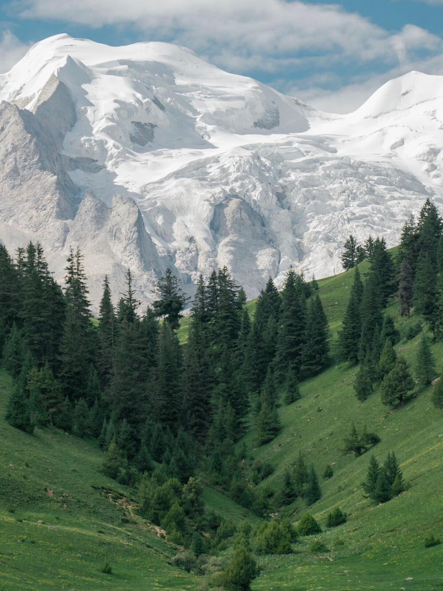 Upper glacier and crevassed summit face above conifer forest, West Sichuan