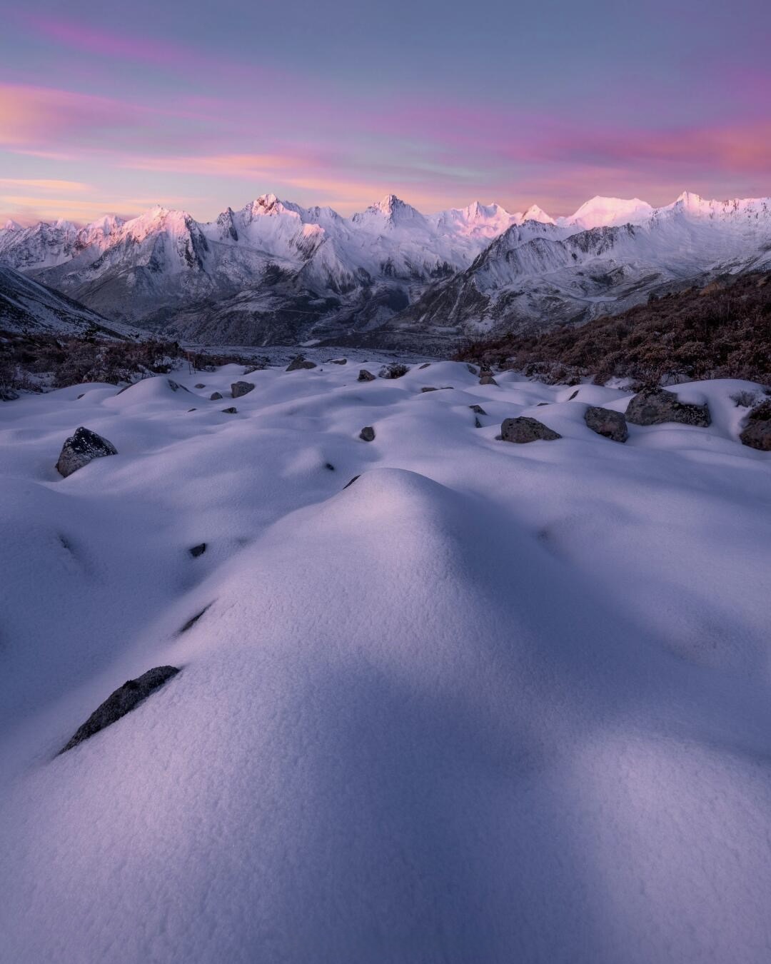 Forest-edge stream in late golden-hour light at Xinduqiao, Ganzi, Sichuan