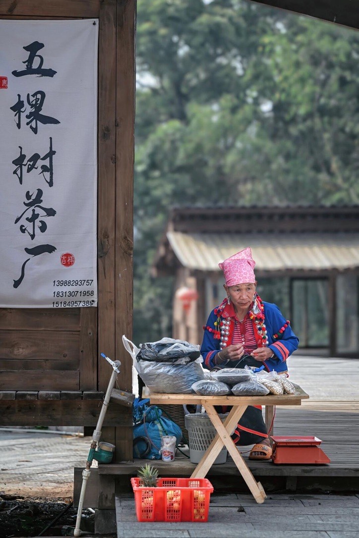 Mindful Forest‑to‑Cup & Ancestral Lore — Jingmai Mountain (2)