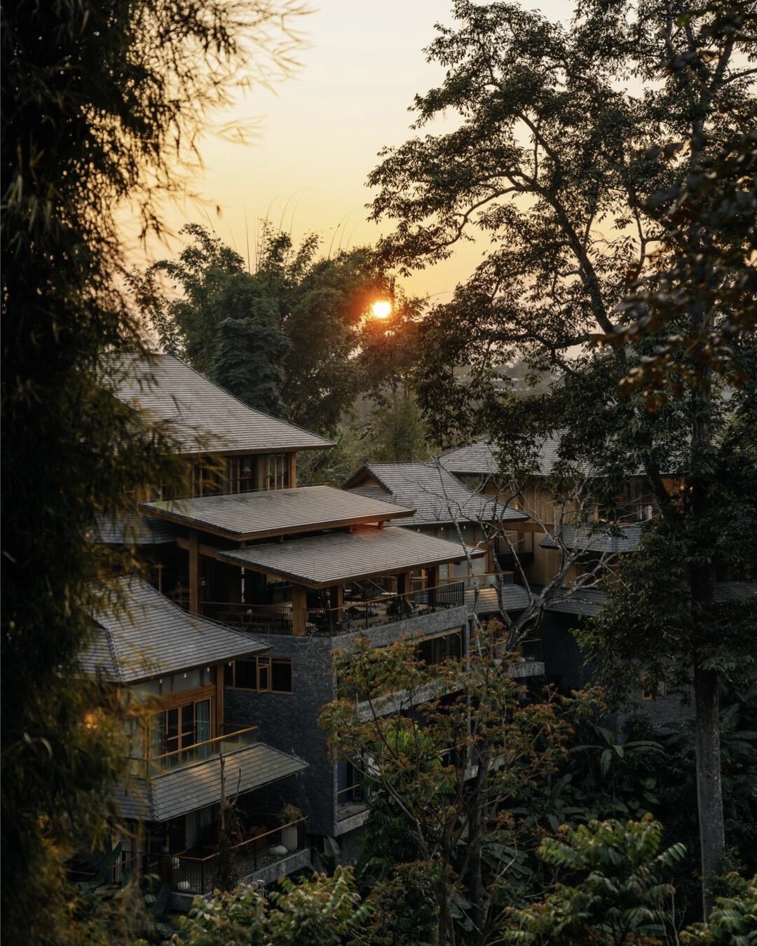 Arrival, Forest Bathing & Village Rhythms — Jingmai Mountain (1)