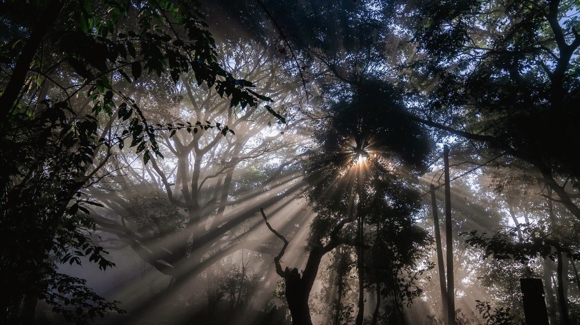 Heritage Paths, Gratitude Ritual & Departure — Jingmai Mountain (6)