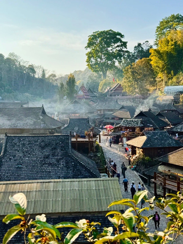 Mindful Forest‑to‑Cup & Ancestral Lore — Jingmai Mountain (3)