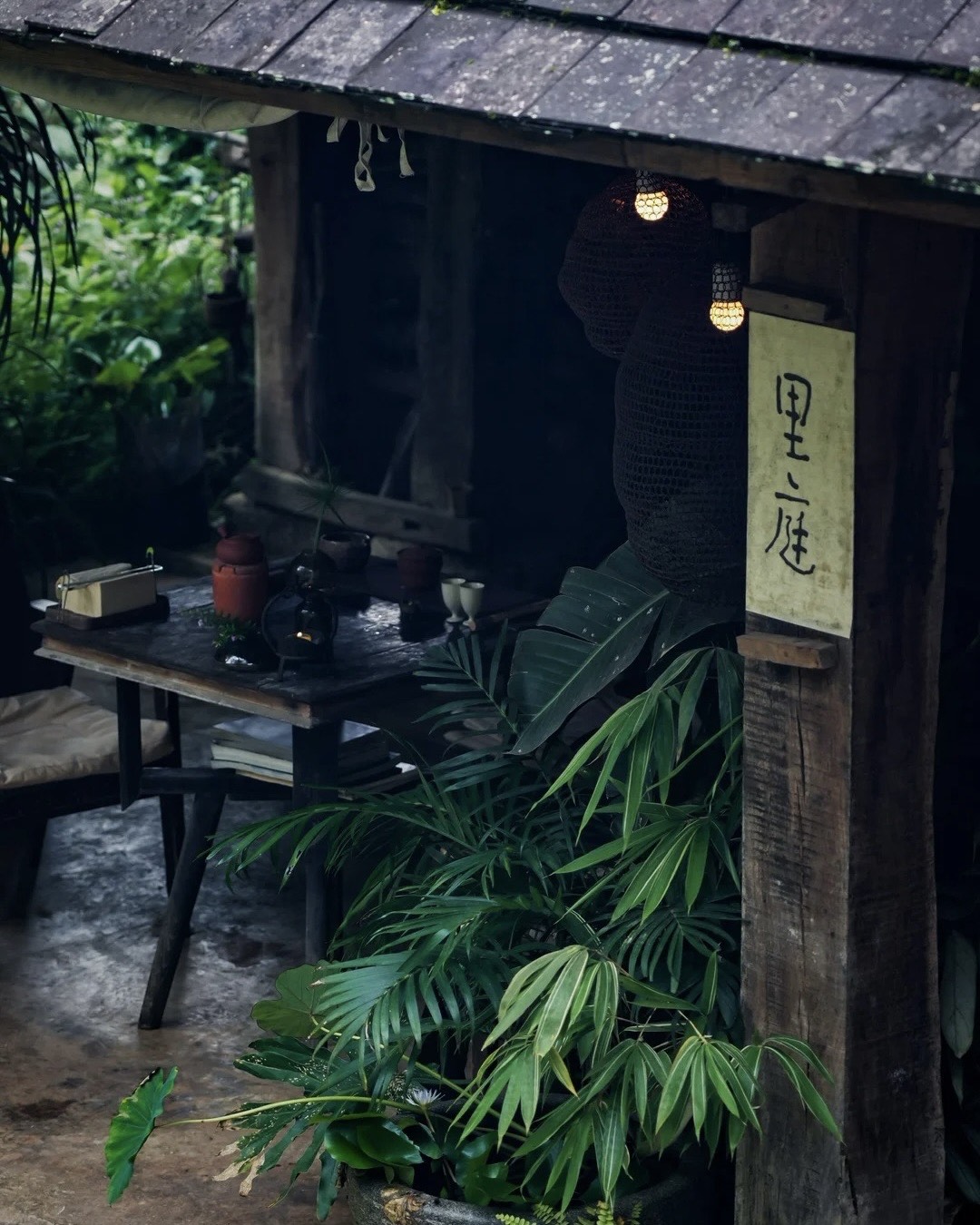 Mindful Forest‑to‑Cup & Ancestral Lore — Jingmai Mountain (5)