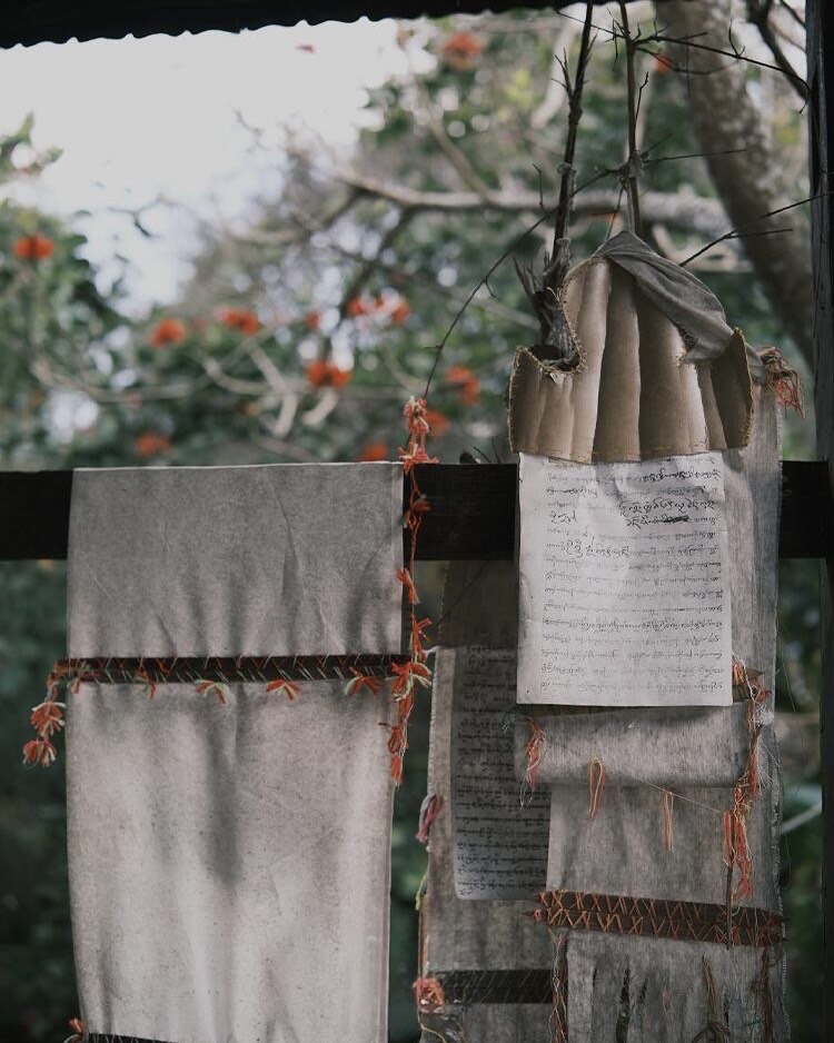 Mindful Forest‑to‑Cup & Ancestral Lore — Jingmai Mountain (4)